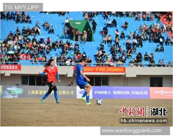 球迷热议上海足球明星表现与未来发展展望